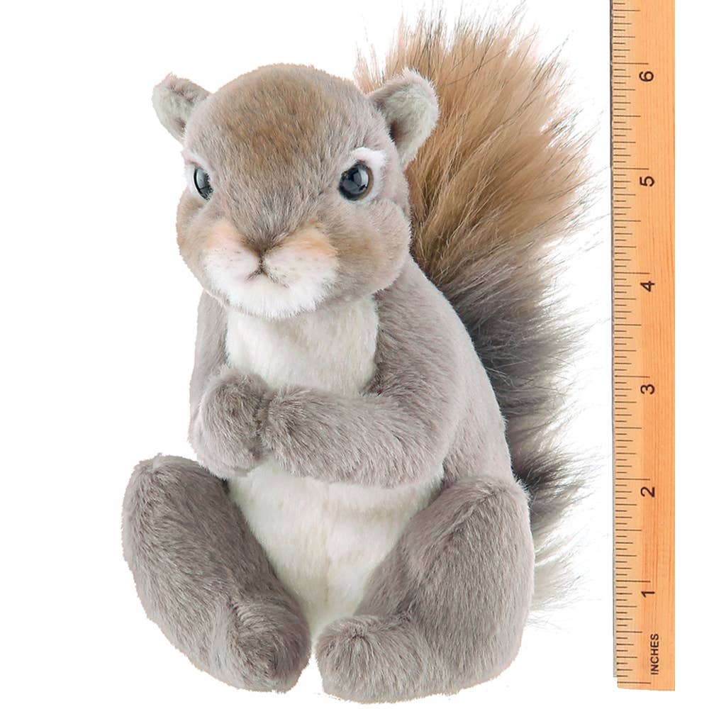 Lil' Peanut the Squirrel