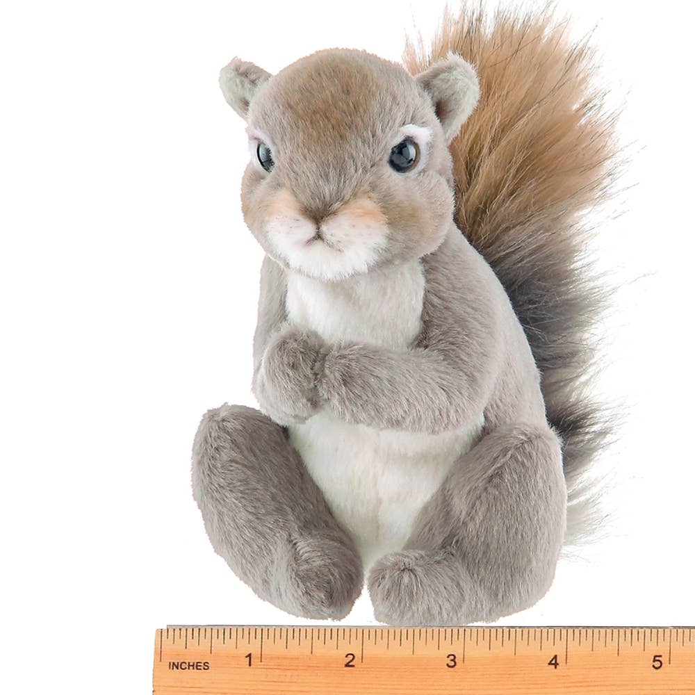 Lil' Peanut the Squirrel