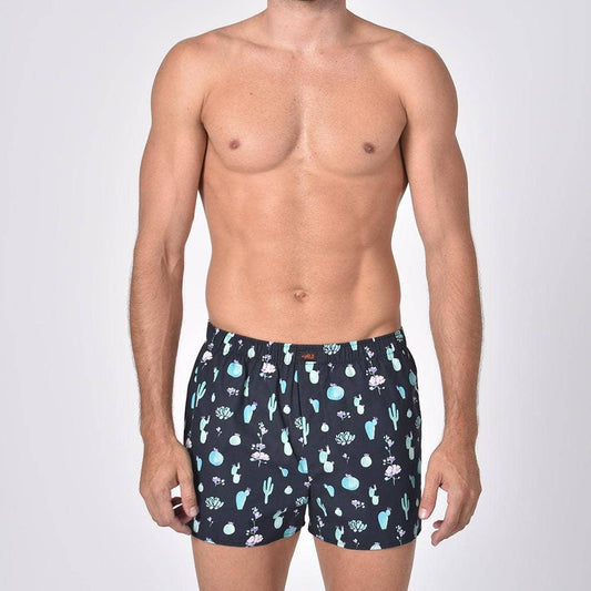 Retro Desert Print Boxers